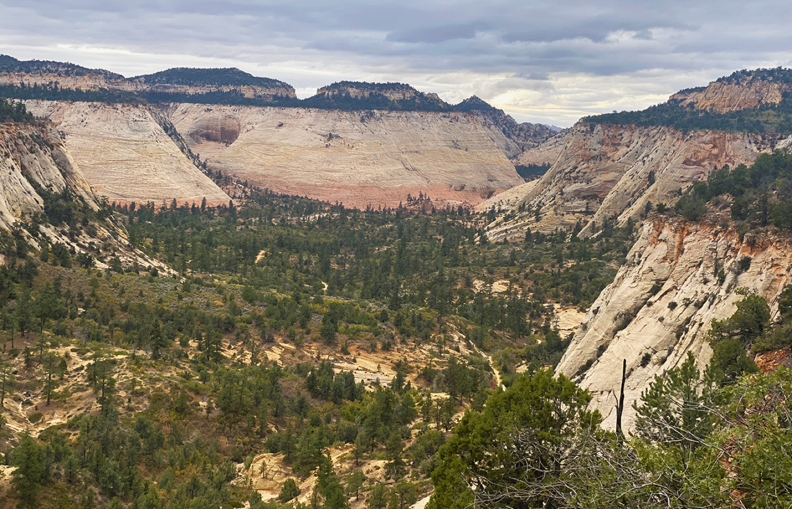 kanabedmaierssecretcanyondechellyhopearch_10.gif