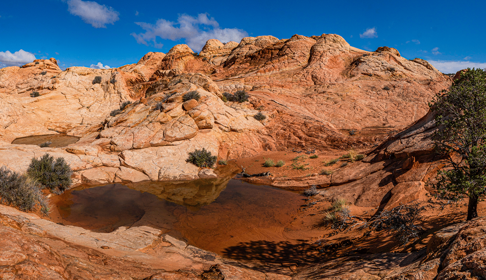 kanabedmaierssecretcanyondechellyhopearch_14.gif